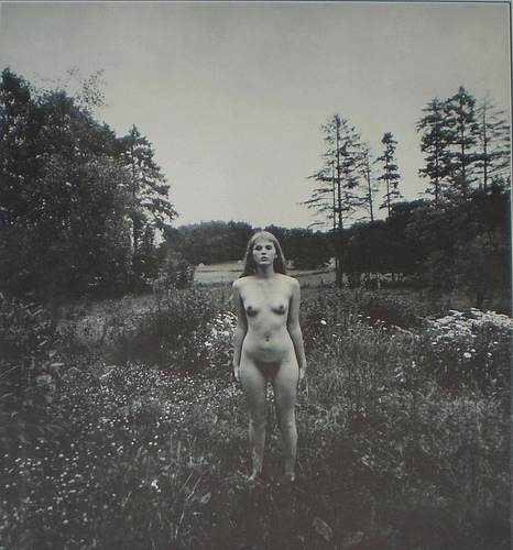 pa090036-no_22214518338244761896